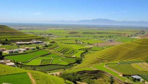 شقق مفروشة استثمارات عقارية عقارات جدة أراضي للبيع شقق للإيجار عقارات للبيع